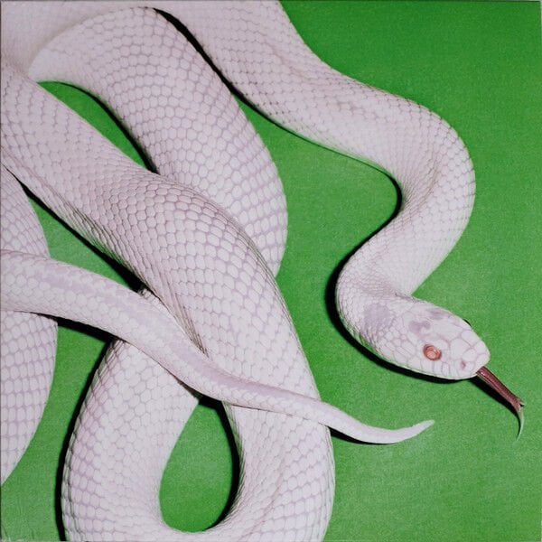 DEFTONES – PRIVATE MUSIC (2025) - LP SIFIR PLAK