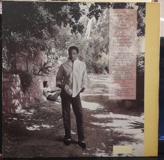 AL JARREAU - L IS FOR LOVERS (1986) - PLAK 2.EL