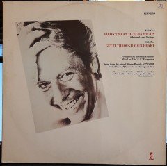 ROBERT PALMER - I DIDN'T MEAN TO TURN YOU ON (1985) - 12'' MAXI SINGLE PLAK 2.EL