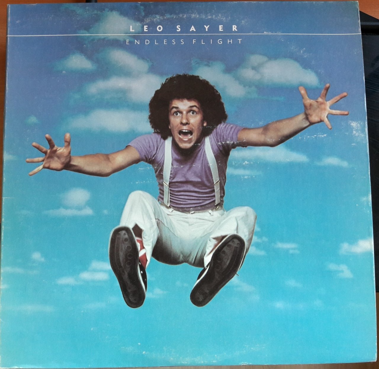 LEO SAYER - ENDLESS FLIGHT(1973) - PLAK 2.EL