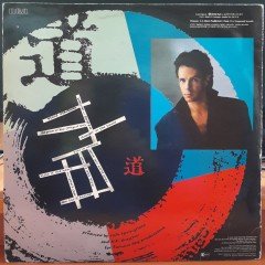 RICK SPRINGFIELD - TAO (1985) - PLAK 2.EL YERLİ BASKI