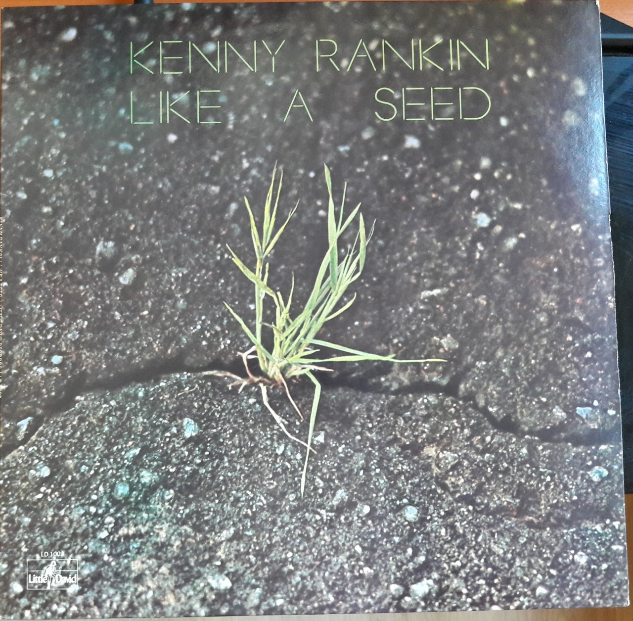 KENNY RANKIN - LIKE A SEED (1972) - 2.EL PLAK