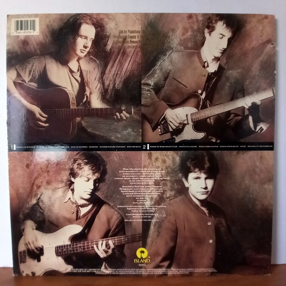 KEVIN MCDERMOTT ORCHESTRA – MOTHER NATURE\'S KITCHEN (1989) - LP 2.EL PLAK