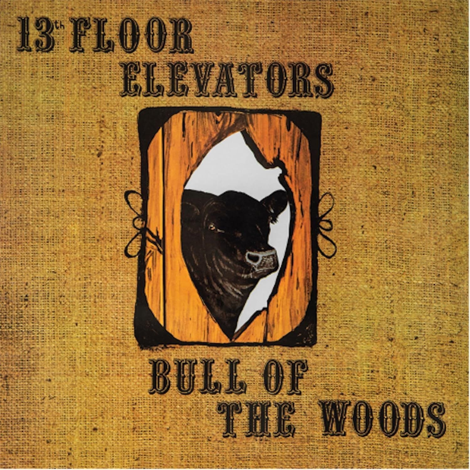 13TH FLOOR ELEVATOR - BULL OF THE WOODS (1969) - LP 2024 HALF SPEED MASTERED EDITION PSYCHEDELIC ROCK SIFIR PLAK
