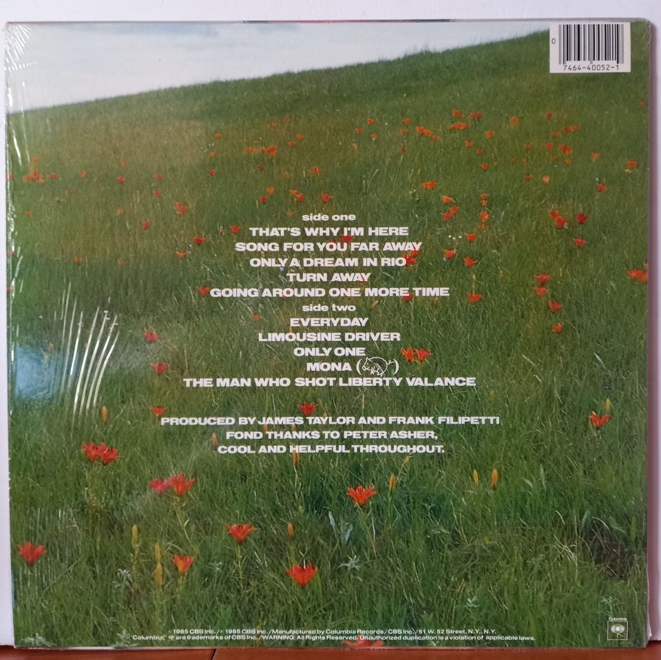 JAMES TAYLOR – THAT'S WHY I'M HERE (1985) - LP 2.EL PLAK