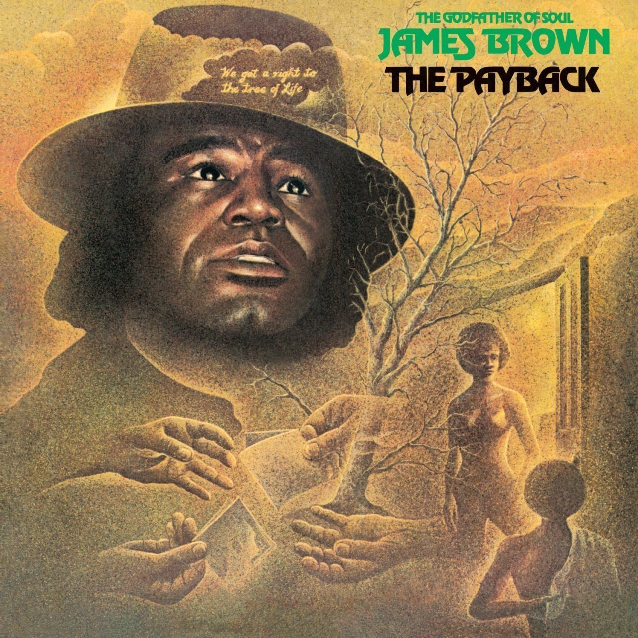 JAMES BROWN - THE PAYBACK (1973) - PLAK SIFIR