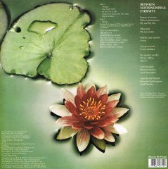MAHAVISHNU ORCHESTRA - BETWEEN NOTHINGNESS & ETERNITY  LIVE (1973) - LP JAZZ ROCK FUSION 180GR 2015 EDITION SIFIR PLAK