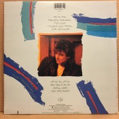 ROBERT PLANT - SHAKEN 'N' STIRRED (1985) - 2.EL PLAK
