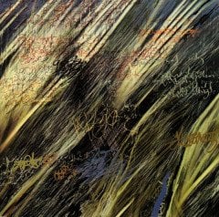 ANIMALS ON WHEELS - NUVOL I CADIRA (1999) - CD IDM DOWNTEMPO 2.EL