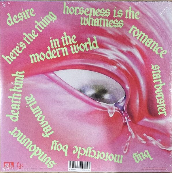 FONTAINES D.C. – ROMANCE (2024) - LP VINYL SIFIR PLAK