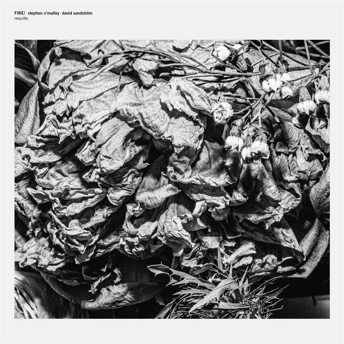 FIRE! , STEPHEN O'MALLEY , DAVID SANDSTRÖM - REQUIES (2022) - LP (1 SIDED MINI ALBUM) DARK JAZZ , FREE JAZZ SIFIR PLAK