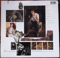 AMY GRANT - LEAD ON ME (1988) - PLAK 2.EL