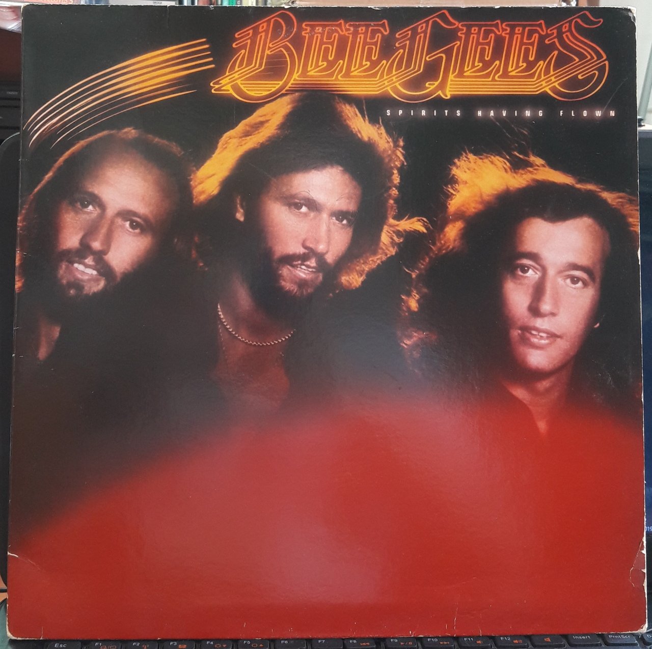 BEE GEES - SPIRITS HAVING FLOWN (1979) - PLAK 2.EL