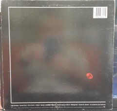 WEATHER REPORT - NIGHT PASSAGE (1980) - PLAK 2.EL