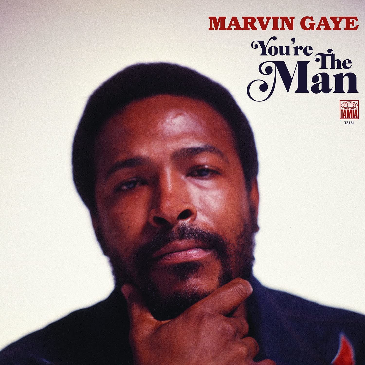 MARVIN GAYE - YOU'RE THE MAN (2019) - 2LP COMPILATION 2019 EDITION SIFIR PLAK