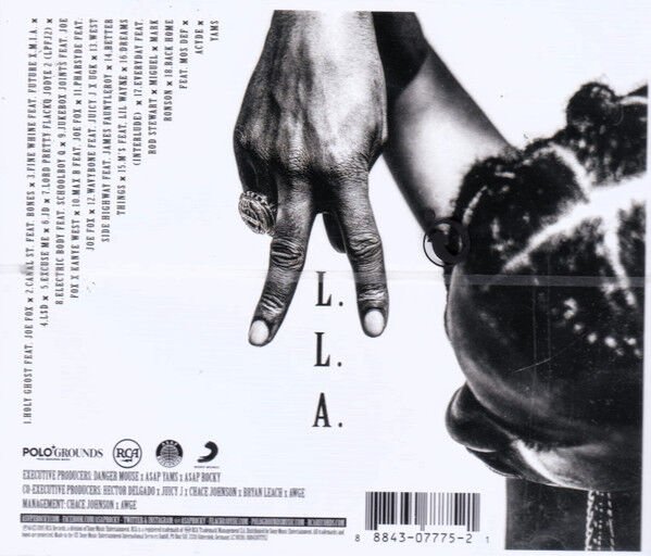 A$AP ROCKY – AT. LONG. LAST. A$AP (2015) - CD JEWEL CASE AMBALAJINDA SIFIR
