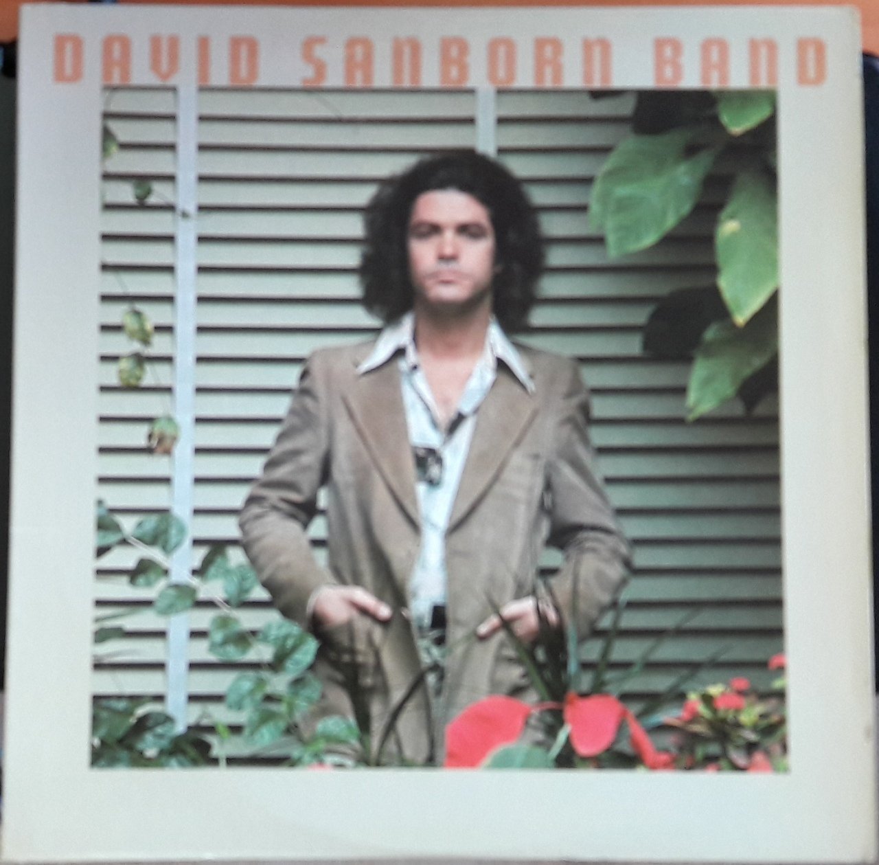 DAVID SANBORN BAND - PROMISE ME THE MOON (1977) - 2.EL PLAK
