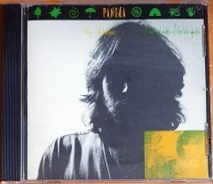 KIP HANRAHAN - DAYS AND NIGHTS OF BLUE LUCK INVERTED (1988) - CD PANGAEA RECORDS 2.EL