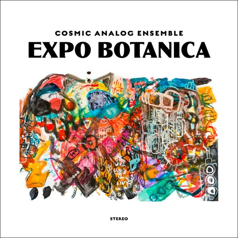 COSMIC ANALOG ENSEMBLE – EXPO BOTANICA (2022) - LP INSTRUMENTAL , LOUNGE , EASY LISTENING SIFIR PLAK