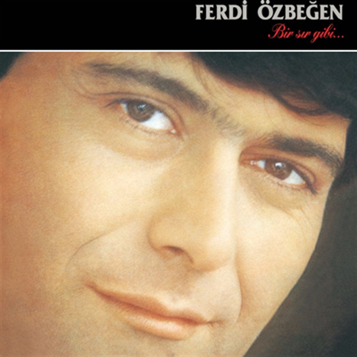 FERDİ ÖZBEĞEN - BİR SIR GİBİ - LP 2020 BASIM RENKLİ SIFIR PLAK