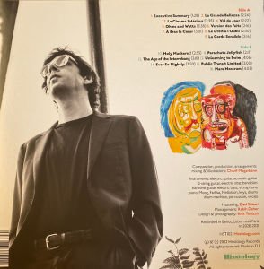 COSMIC ANALOG ENSEMBLE – EXPO BOTANICA (2022) - LP INSTRUMENTAL , LOUNGE , EASY LISTENING SIFIR PLAK