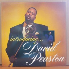 DAVID PEASTON - INTRODUCING...(1989) - LP 2.EL PLAK