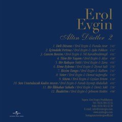 EROL EVGİN - ALTIN DÜETLER 2 (2019) - LP SIFIR PLAK