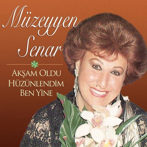 MÜZEYYEN SENAR - AKŞAM OLDU HÜZÜNLENDİM BEN YİNE (1986) - LP  2021 BASIM SIFIR PLAK