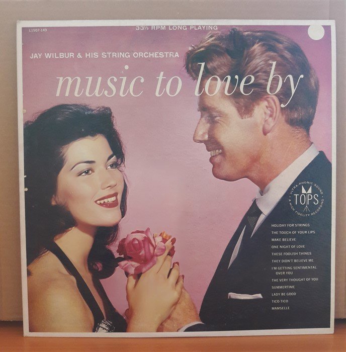 MUSIC TO LOVE BY JAY WILBUR - LP 2.EL PLAK