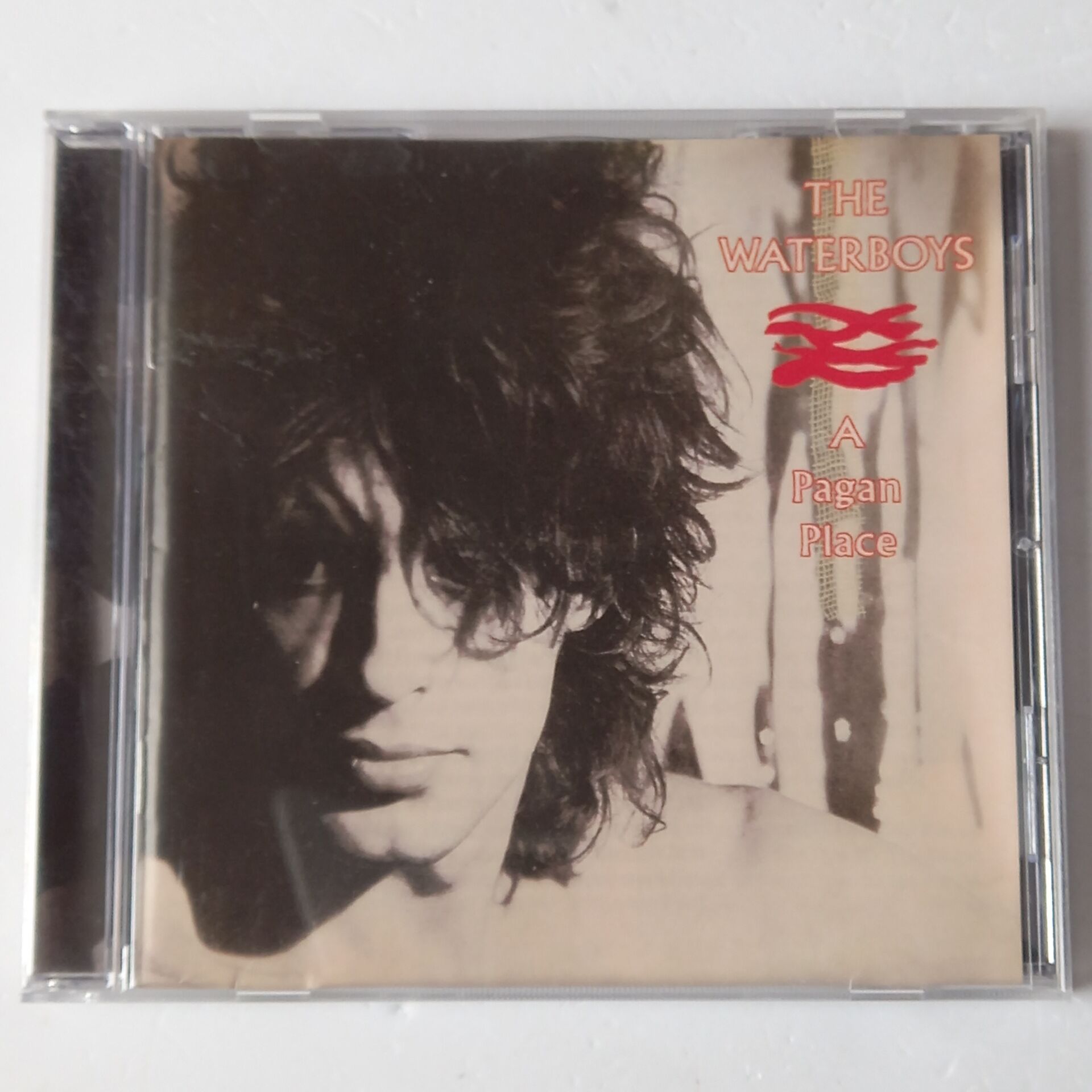THE WATERBOYS – A PAGAN PLACE (1984) - CD REMASTERED 2002 REISSUE 2.EL