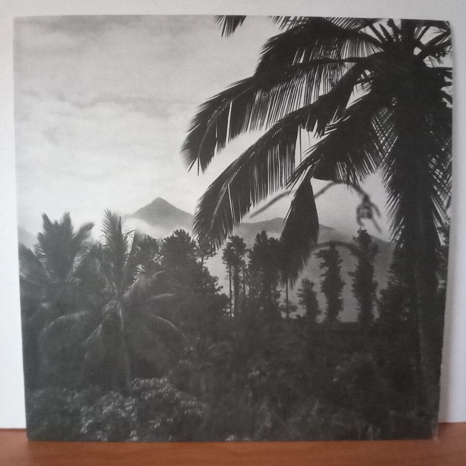 MYSTICAL COMMUNICATION SERVICE – THE FIERCE PEOPLE (2016) - LP 2.EL PLAK