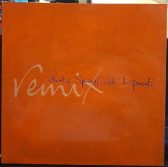 DUSTY SPRINGFIELD - IN PRIVATE (1989) - 12'' MAXI SINGLE VINYL PLAK 2.EL