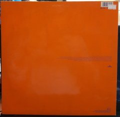 DUSTY SPRINGFIELD - IN PRIVATE (1989) - 12'' MAXI SINGLE VINYL PLAK 2.EL