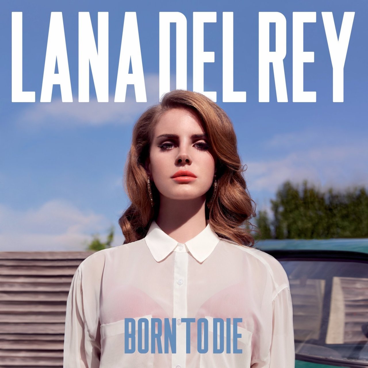 LANA DEL REY - BORN TO DIE (2012) - PLAK SIFIR