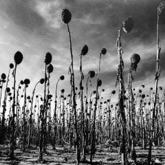 DEAD CAN DANCE - ANASTASIS (2012) - 2LP SIFIR PLAK