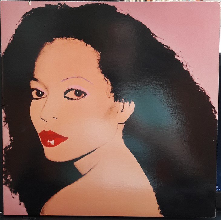 DIANA ROSS - SILK ELECTRIC (1982) - 2.EL PLAK