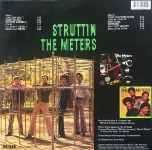 THE METERS – STRUTTIN' (1970) - LP 180gr 2017 REISSUE SIFIR PLAK