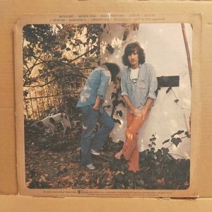 CROSBY NASH - WHISTLING DOWN THE WIRE (1976) - LP CUT OUT 2.EL PLAK