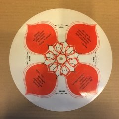 CELAL İNCE AMERİKA TÜRKİYE DOSTLUK ŞARKISI 10'' FLEXI RESİMLİ PLAK