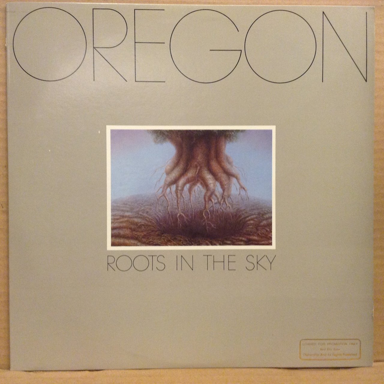 OREGON - ROOTS IN THE SKY 1976 2.EL PLAK