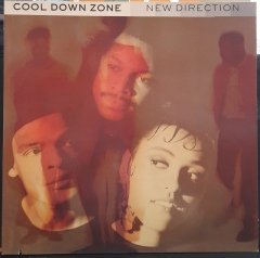 COOL DOWN ZONE - NEW DIRECTION (1990) - PLAK 2.EL