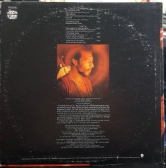RICHIE HAVENS - THE GREAT BLIND DEGREE (1971) - PLAK 2.EL
