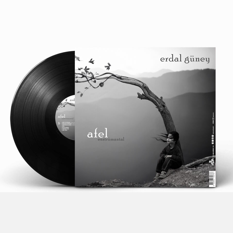 ERDAL GÜNEY - PERİHEL (ENSTRÜMENTAL) (1999) - LP 2026 BASIM SIFIR PLAK
