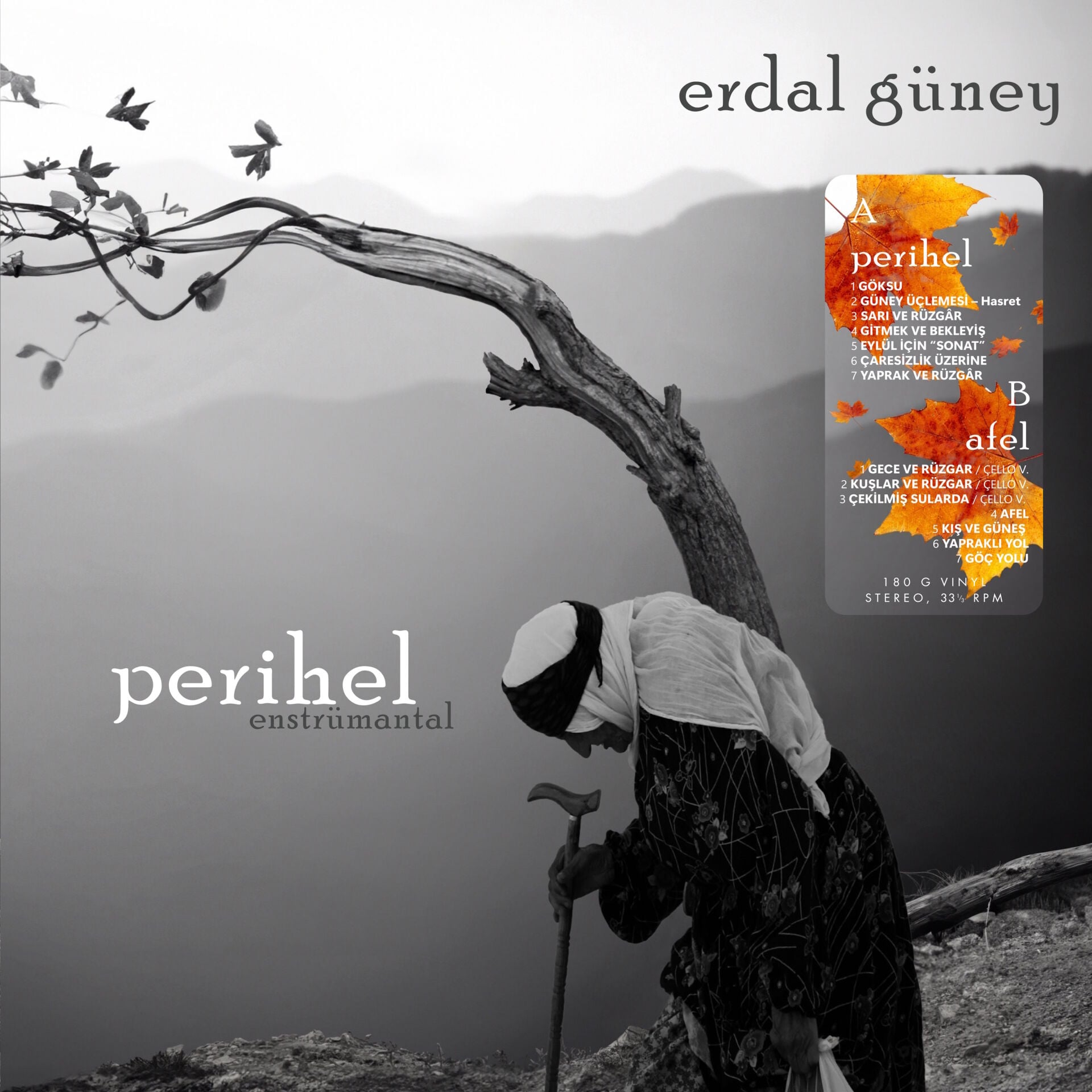 ERDAL GÜNEY - PERİHEL (ENSTRÜMENTAL) (1999) - LP 2026 BASIM SIFIR PLAK