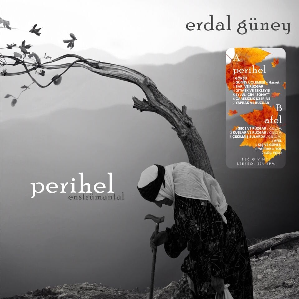 ERDAL GÜNEY - PERİHEL (ENSTRÜMENTAL) (1999) - LP 2026 BASIM SIFIR PLAK
