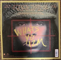 ERYKAH BADU - MAMA'S GUN (2000) - 2LP NEO SOUL 180GR 2016 EDITION SIFIR PLAK