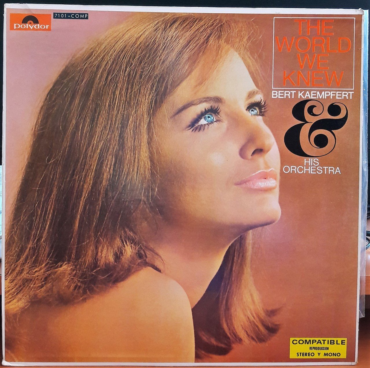 THE WORLD WE KNEW - BERT KAEMPFERT - PLAK 2.EL