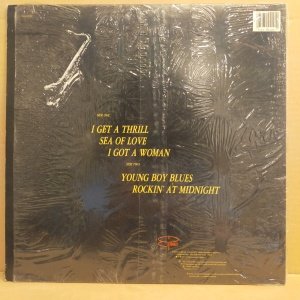 THE HONEYDRIPPERS - VOLUME ONE (1984) - 5 TRACKS EP JEFF BECK ROBERT PLANT NILE RODGERS 2.EL PLAK