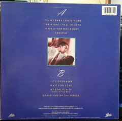 LUTHER VANDROSS - THE NIGHT I FELL IN LOVE (1985) - PLAK 2.EL