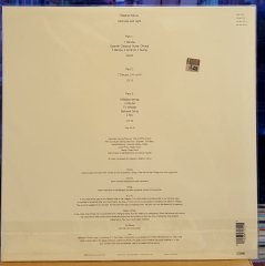 STEPHAN MICUS DARKNESS AND LIGHT (1990) LP ECM RECORDS SIFIR